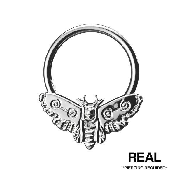 MOTH SEPTUM For Discount